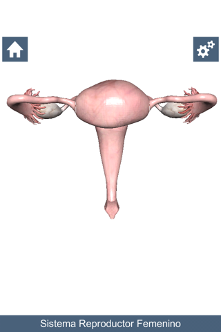 Anatom 3D screenshot 2