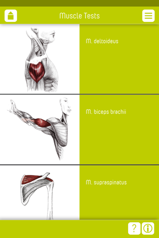 Muscle Test part 2 screenshot 2