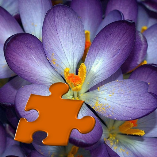 Flowers Puzzles Icon