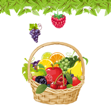 Activities of Basket Fruits