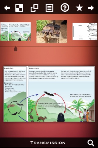 Ebola Virus Info screenshot 2