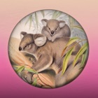 Field Guide to Queensland Fauna