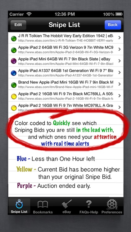 Auction Buyer Bidding Snipe timer for eBay sniping