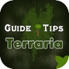 Guide for Terraria with Tips