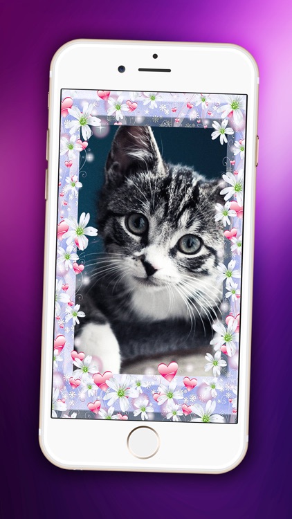 Pretty Kitten Wallpaper – Cute Baby Pet Lock Screen Theme & Adorable Kitty Cat Background.s screenshot-3