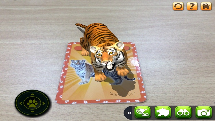 3d learning card safari