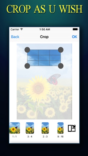 CROP ++ Photo Crop Editor With Instant Crop and Resize Tool(圖1)-速報App