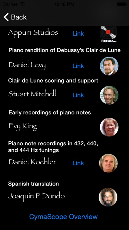 CymaScope - Music Made Visible screenshot-4