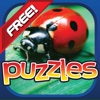 Puzzles of Bugs and Reptiles Life Game