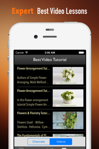 DIY Flower Arranging for Beginners:Guide and Tips screenshot 3