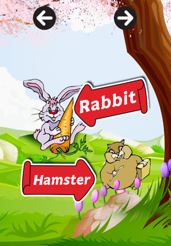 Learn English Vocabulary V.5 : learning Education games for kids and beginner Free screenshot 4