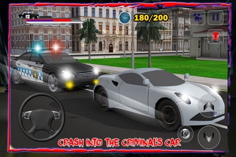 Police Drive: Car Simulation 2016 screenshot 4