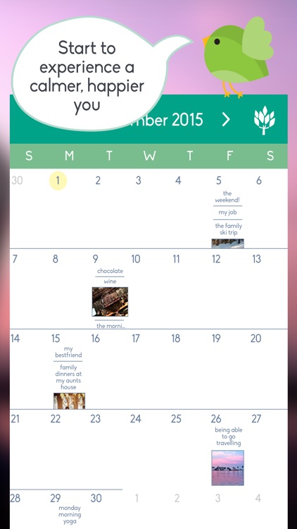 Gratitude Journal - Daily Diary and Mood Tracker for a Happier, More Grateful, and More Mindful Life screenshot-4