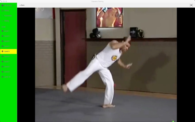 Capoeira Training thumbnail 4