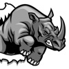 Parcel Rhino
