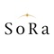 「SoRa」の公式アプリが登場。