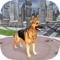 Big City Dog Simulator