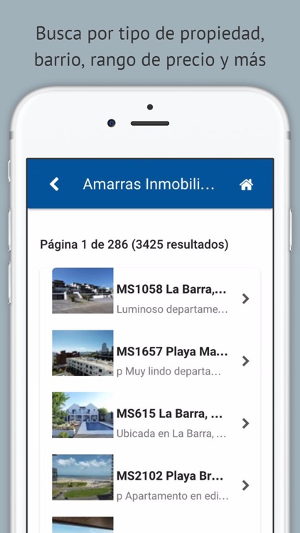 Amarras Inmobiliaria