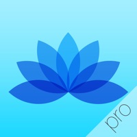 5 Minute Meditations: 28 day mindfulness meditation course for daily relaxation, happiness and stress relief PC 용