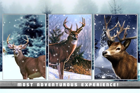 Deer Hunter Snow 2016 - Winter Buck Shooting Challenge screenshot 2
