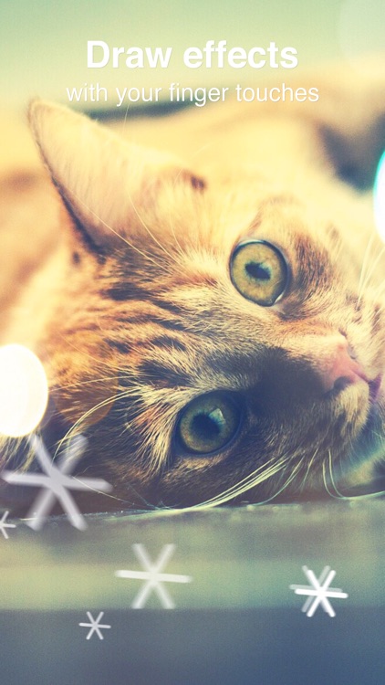 Real Bokeh - Light Effects