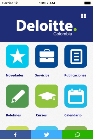 Deloitte CO screenshot 2