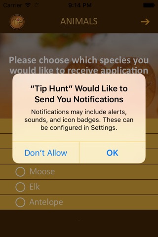Tip Hunt screenshot 2