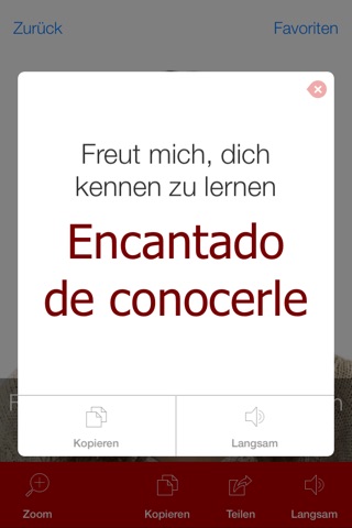 Spanish Pretati - Translate, Learn and Speak Spanish with Video Phrasebook screenshot 3