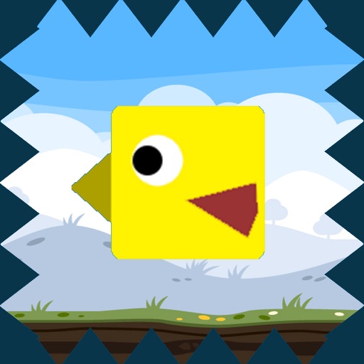 Hardcore Bird - X iOS App