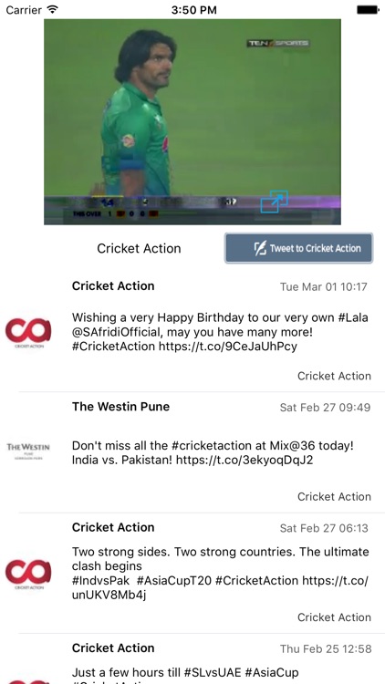 Cricket Action