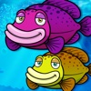 Salmon Upstream Reef Run - PRO - Swim Or Sink 3D Tropical Marine Fish Dash