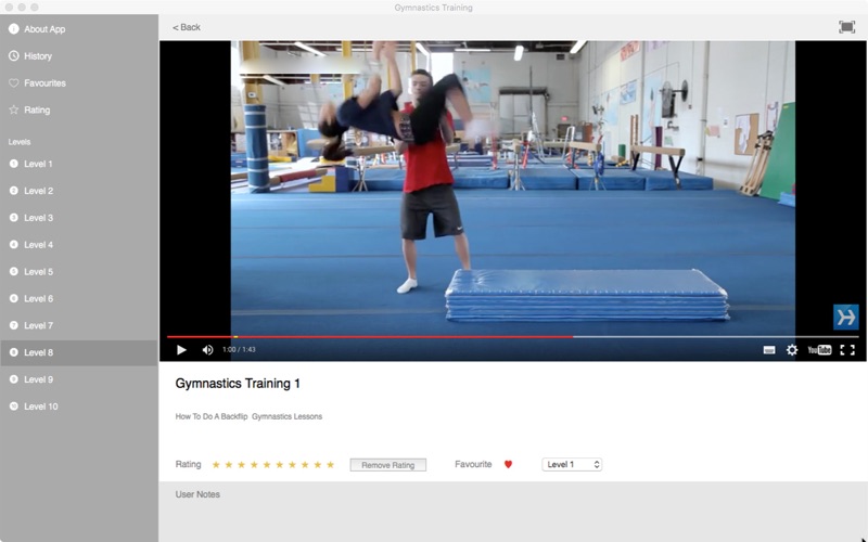 Gymnastics Training thumbnail 4