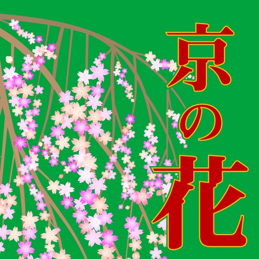 ぶらぶら京都　京都の花めぐり icon