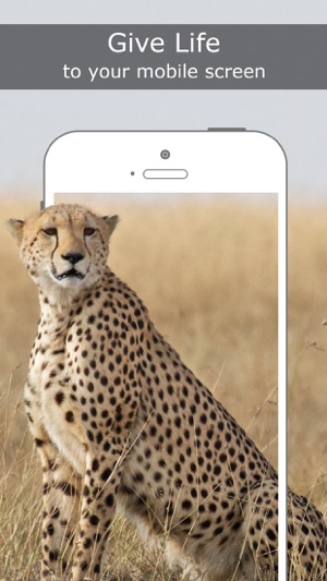 Live Wallpapers For Iphone 6S & 6S Plus - Free Animated Backgrounds On The  App Store