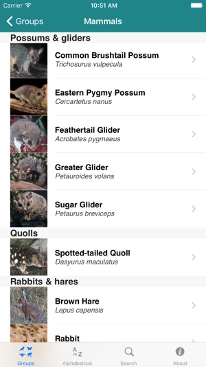 Field Guide to Australian Capital Territory Fauna(圖3)-速報App