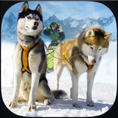 Activities of Winter Snow Dog Sledding Ski Simulator 3D