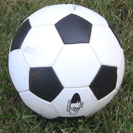 Soccer Dad