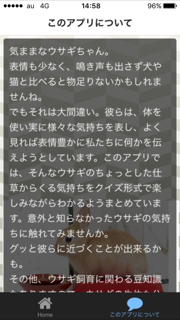 ウサギの気持ち　クイズ