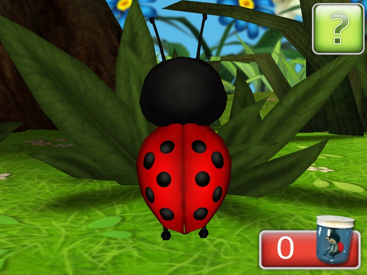 T15 Ladybugs 2