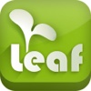 Legato Leaf