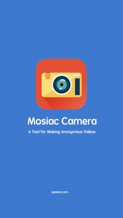 Mosaic Video Recorder