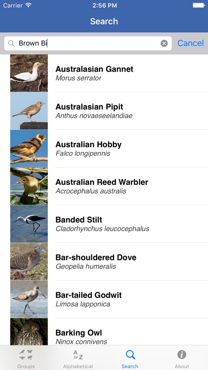 Field Guide to NSW Fauna