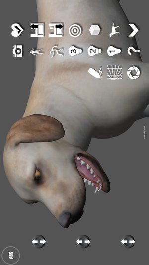 Labrador Pose Tool 3D(圖5)-速報App