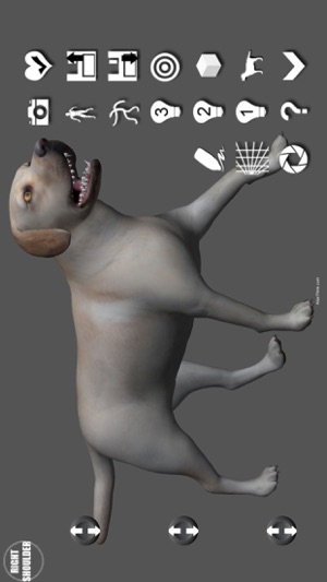 Labrador Pose Tool 3D