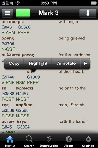 Holy Bible Greek Interlinear screenshot 3