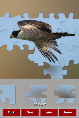Birds Jigsaw Puzzles screenshot 3