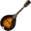 Mandolin Tuner Simple