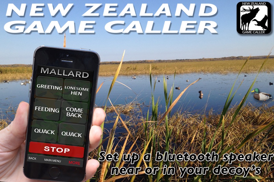 NZ GAME CALLS screenshot 3