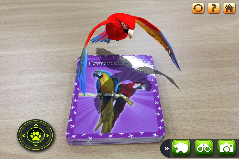3D LEARNING CARD BIRDS screenshot 3