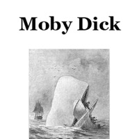 Moby Dick!  PC 용